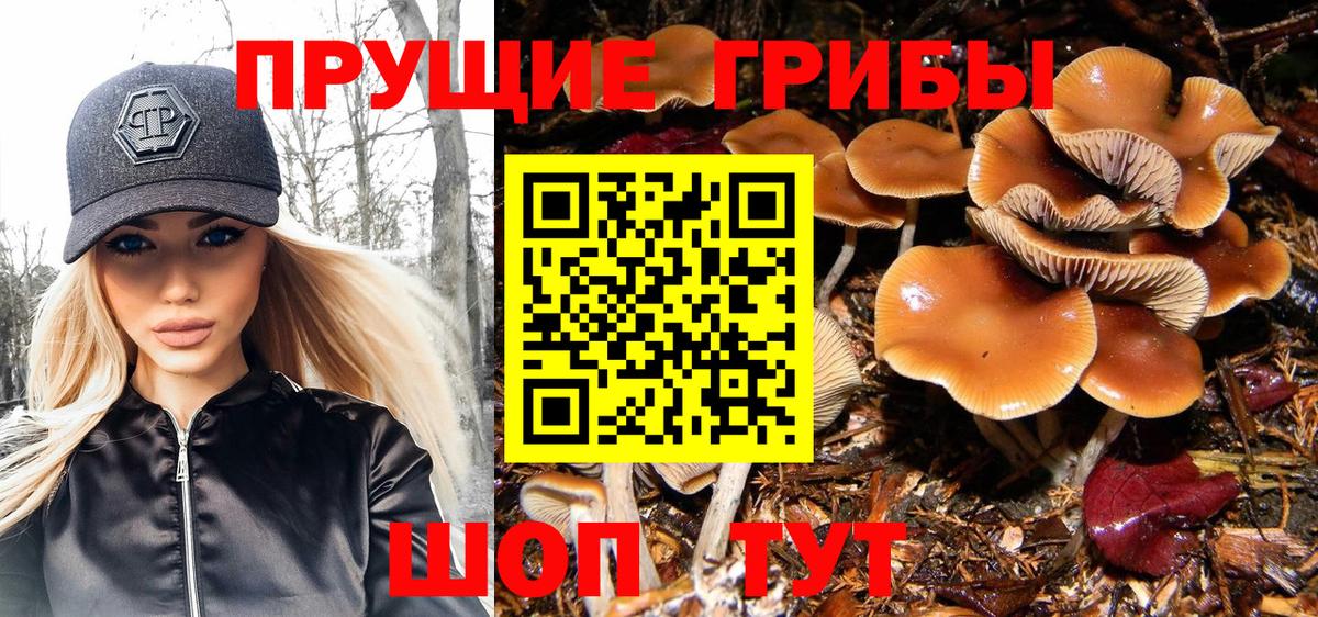 Галлюциногенные грибы Magic Shrooms  Псилоцибиновые грибы Magic Shrooms  Десногорск  Вход с VPN 